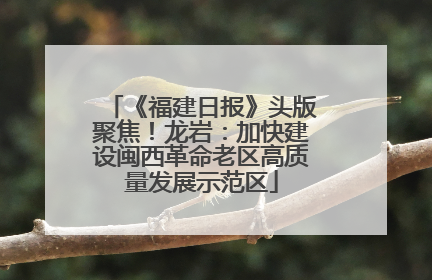 《福建日报》头版聚焦！龙岩：加快建设闽西革命老区高质量发展示范区