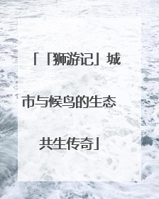 「狮游记」城市与候鸟的生态共生传奇