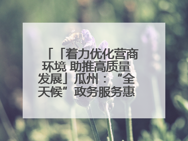 「着力优化营商环境 助推高质量发展」瓜州：“全天候”政务服务惠企便民