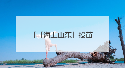 「海上山东」投苗耕海，牧海图强！