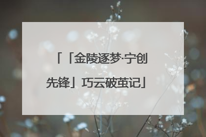 「金陵逐梦·宁创先锋」巧云破茧记