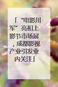 “电影川军”亮相上影节市场展，成都影视产业引发业内关注