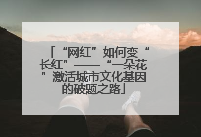 “网红”如何变“长红”——“一朵花”激活城市文化基因的破题之路