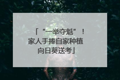 “一举夺魁”！家人手捧自家种植向日葵送考