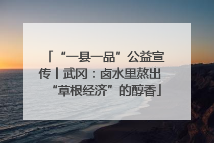 “一县一品”公益宣传丨武冈：卤水里熬出“草根经济”的醇香