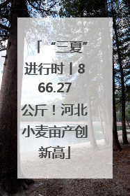 “三夏”进行时丨866.27公斤！河北小麦亩产创新高