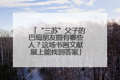 “三苏”父子的巴蜀朋友圈有哪些人？这场书画文献展上能找到答案