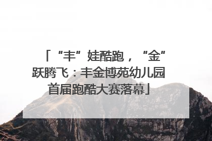 “丰”娃酷跑，“金”跃腾飞：丰金博苑幼儿园首届跑酷大赛落幕