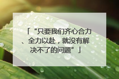 “只要我们齐心合力、全力以赴，就没有解决不了的问题”