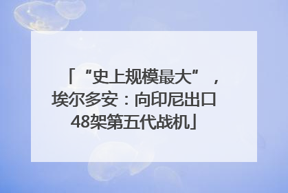 “史上规模最大”，埃尔多安：向印尼出口48架第五代战机