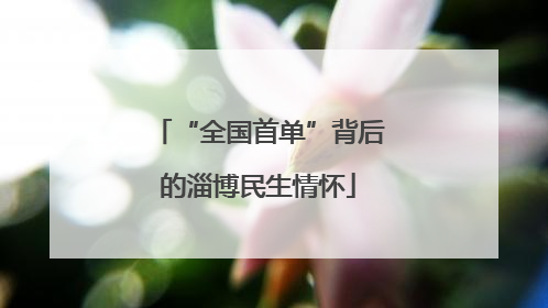 “全国首单”背后的淄博民生情怀