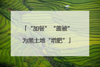 “加餐”“盖被” 为黑土地“增肥”