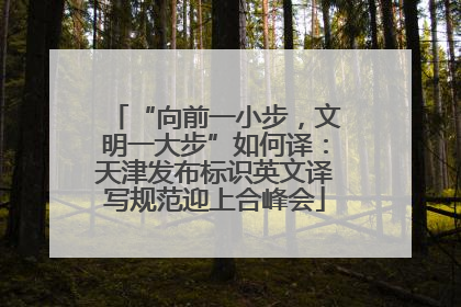 “向前一小步，文明一大步”如何译：天津发布标识英文译写规范迎上合峰会