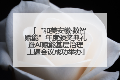 “和美安徽·数智赋能”年度颁奖典礼暨AI赋能基层治理主题会议成功举办