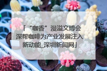 “咖香”漫溢文博会 深帮咖啡为产业发展注入新动能_深圳新闻网