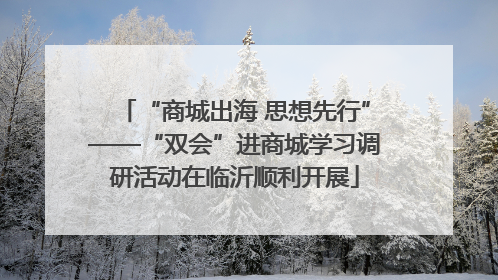 “商城出海 思想先行”——“双会”进商城学习调研活动在临沂顺利开展