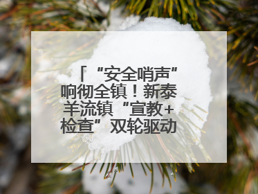“安全哨声”响彻全镇！新泰羊流镇“宣教+检查”双轮驱动筑牢安全防线