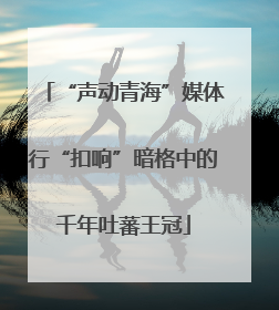 “声动青海”媒体行“扣响”暗格中的千年吐蕃王冠