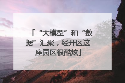 “大模型”和“数据”汇聚，经开区这座园区很酷炫