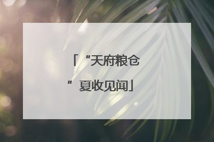 “天府粮仓”夏收见闻