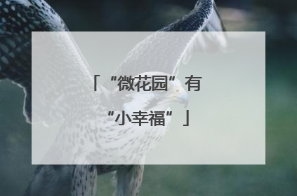 “微花园”有“小幸福”