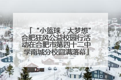 “小篮球，大梦想”合肥狂风公益校园行活动在合肥市第四十二中学南城分校圆满落幕