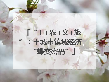 “工+农+文+旅”：丰城市镇域经济“蝶变密码”