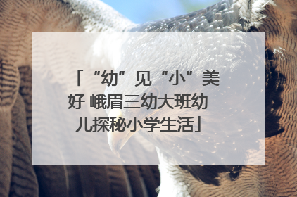 “幼”见“小”美好 峨眉三幼大班幼儿探秘小学生活