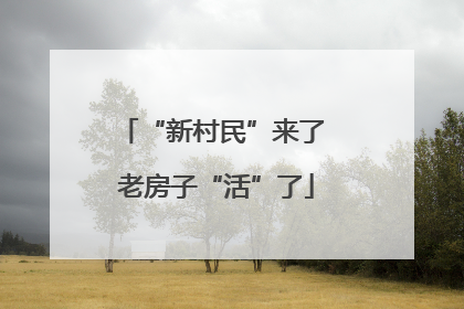 “新村民”来了 老房子“活”了