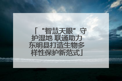 “智慧天眼”守护湿地 联通助力东明县打造生物多样性保护新范式