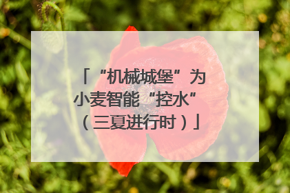 “机械城堡”为小麦智能“控水”（三夏进行时）