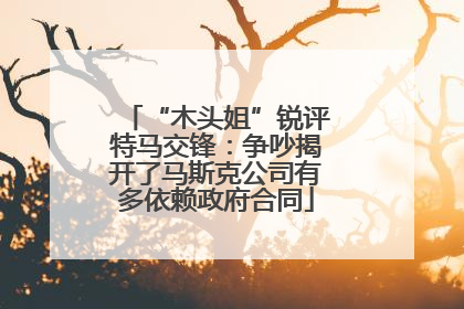 “木头姐”锐评特马交锋：争吵揭开了马斯克公司有多依赖政府合同