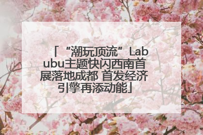 “潮玩顶流”Labubu主题快闪西南首展落地成都 首发经济引擎再添动能