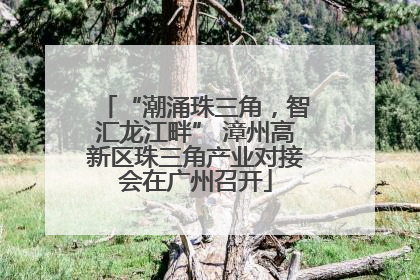 “潮涌珠三角，智汇龙江畔” 漳州高新区珠三角产业对接会在广州召开