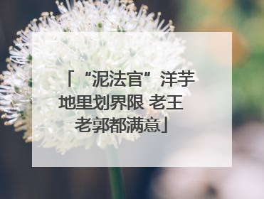 “泥法官”洋芋地里划界限 老王老郭都满意