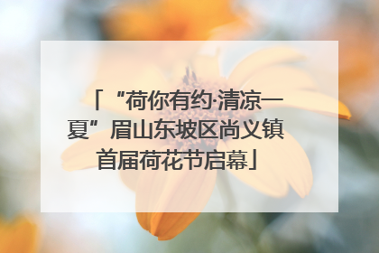 “荷你有约·清凉一夏”眉山东坡区尚义镇首届荷花节启幕