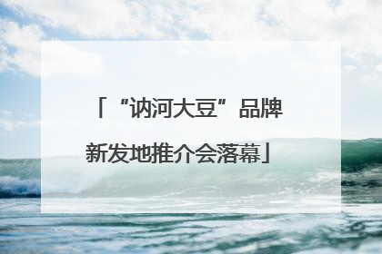 “讷河大豆”品牌新发地推介会落幕