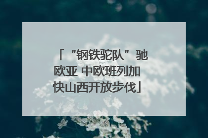 “钢铁驼队”驰欧亚 中欧班列加快山西开放步伐