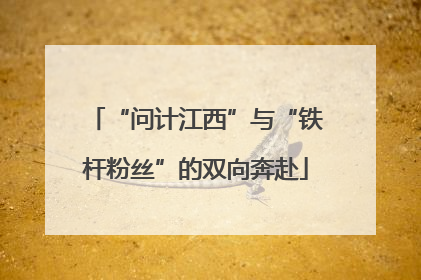 “问计江西”与“铁杆粉丝”的双向奔赴