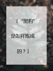 “黑豹”是怎样炼成的？