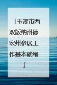 玉溪市西双版纳州德宏州参展工作基本就绪