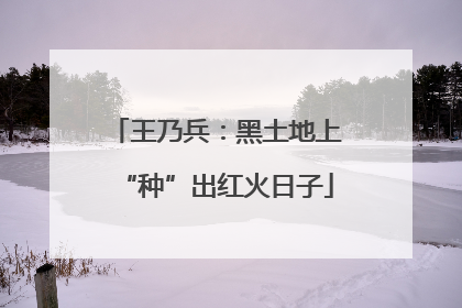 王乃兵：黑土地上“种”出红火日子