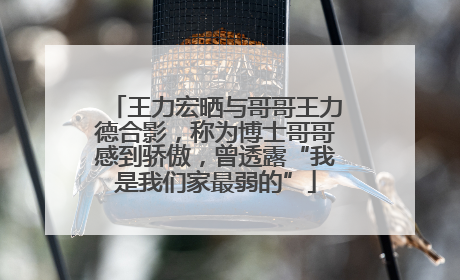 王力宏晒与哥哥王力德合影，称为博士哥哥感到骄傲，曾透露“我是我们家最弱的”
