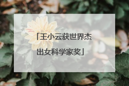 王小云获世界杰出女科学家奖