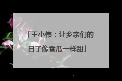 王小伟：让乡亲们的日子像香瓜一样甜