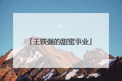 王铁强的甜蜜事业