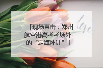 现场直击：郑州航空港高考考场外的“定海神针”