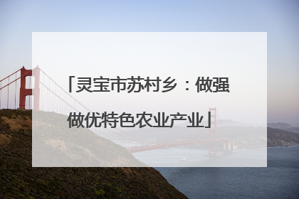 灵宝市苏村乡：做强做优特色农业产业