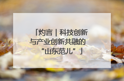 灼言｜科技创新与产业创新共融的“山东范儿”