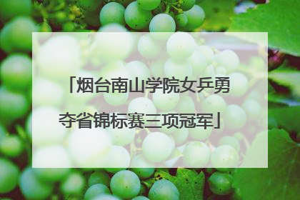 烟台南山学院女乒勇夺省锦标赛三项冠军